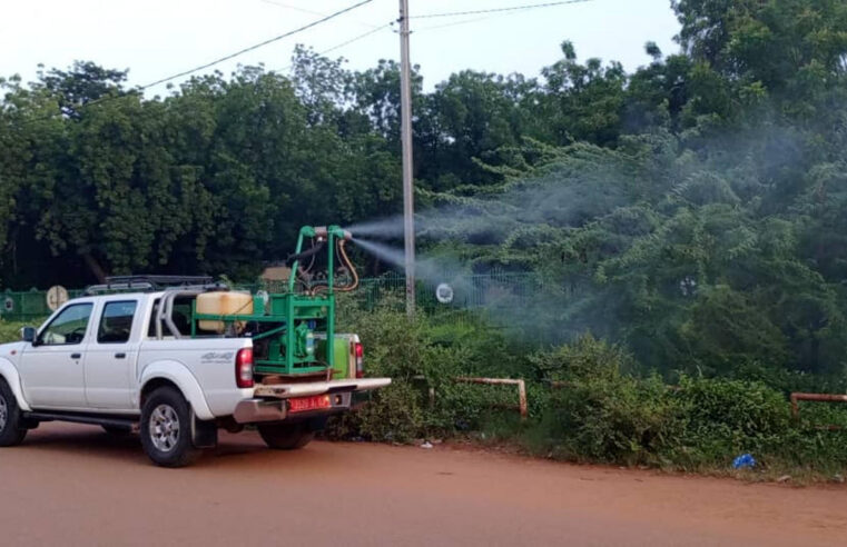 Épidémie de dengue au Burkina Faso : bilan et mesures sanitaires