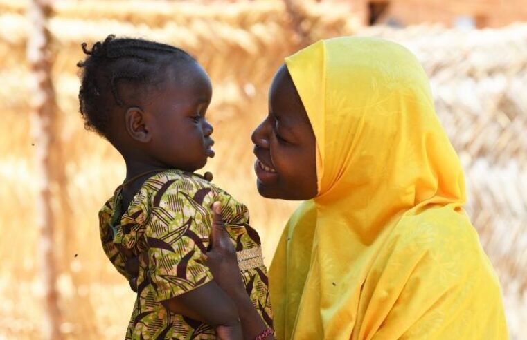 Financement de la santé au Niger : vers une meilleure coordination