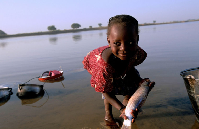Le Niger, pionnier africain dans l&rsquo;éradication de l&rsquo;onchocercose