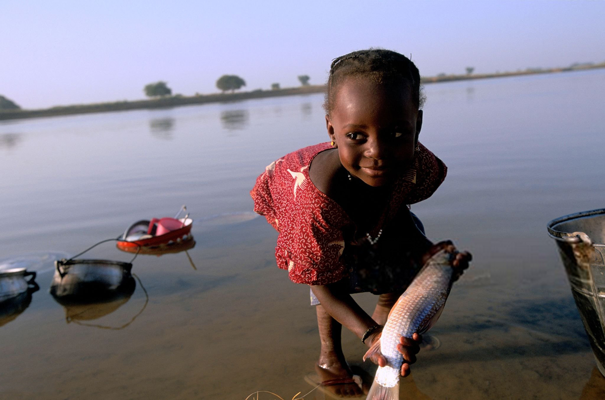 Le Niger, pionnier africain dans l&rsquo;éradication de l&rsquo;onchocercose