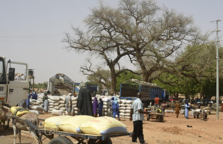Crise humanitaire à Téra : des milliers de civils fuient les menaces armées dans l&rsquo;ouest du Niger