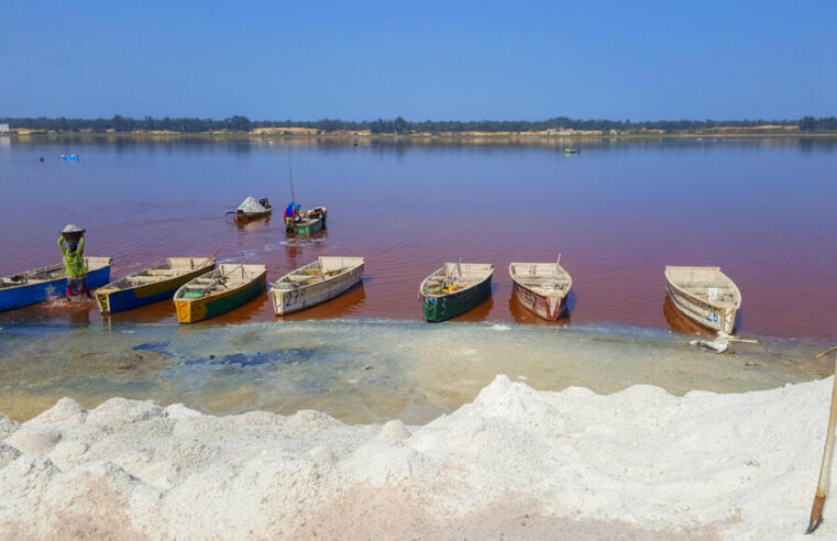 Manifestation contre la ville verte au lac Rose au Sénégal
