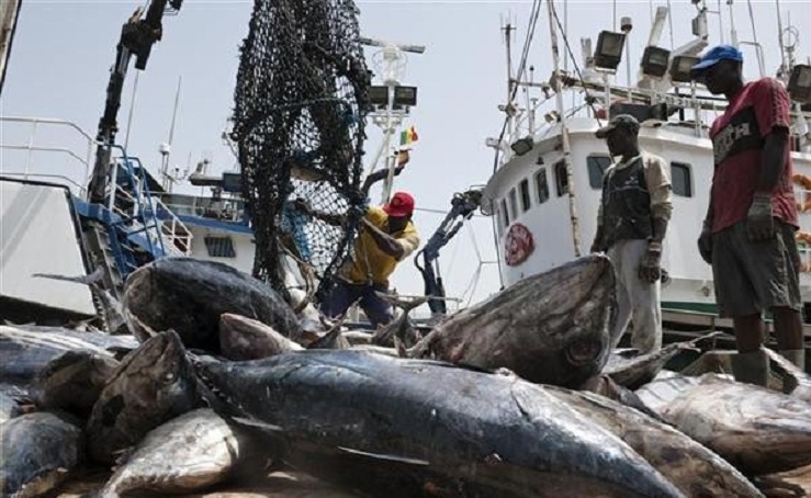 Sénégal : quatre nouvelles licences de pêche pour booster l&rsquo;économie locale