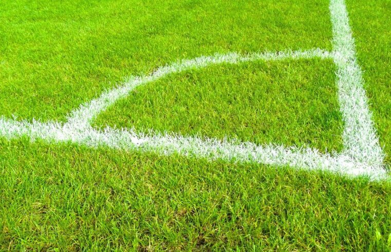 Nice et Saint-Étienne s&rsquo;affrontent pour le dernier ticket de Ligue 1