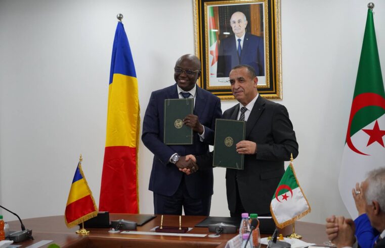 Coopération algéro-tchadienne : une centrale électrique de 40 mw à N&rsquo;Djamena