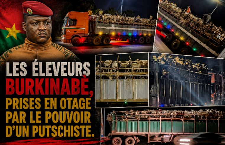 Burkina Faso : les éleveurs face à l&rsquo;impasse des restrictions sur le bétail avant le ramadan
