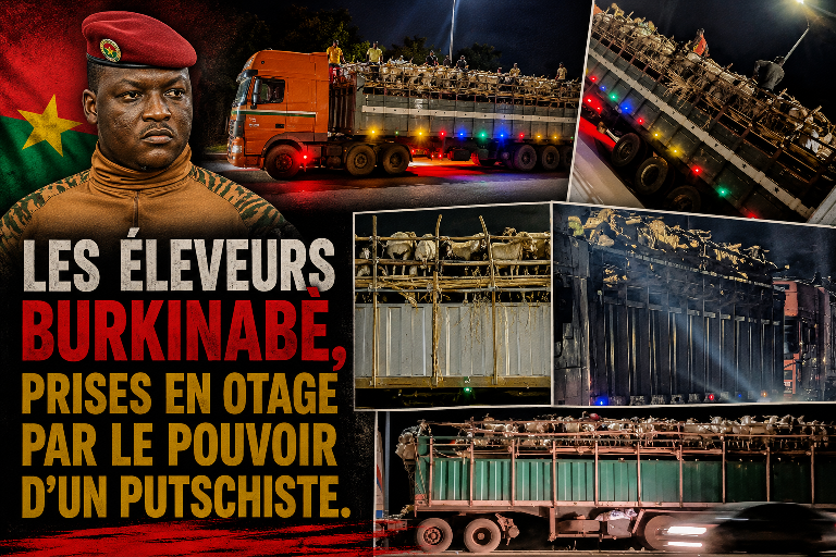 Burkina Faso : les éleveurs face à l&rsquo;impasse des restrictions sur le bétail avant le ramadan