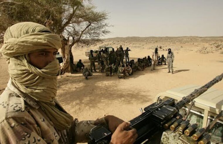 Crise au Mali : les revendications touarègues, solution pour la paix