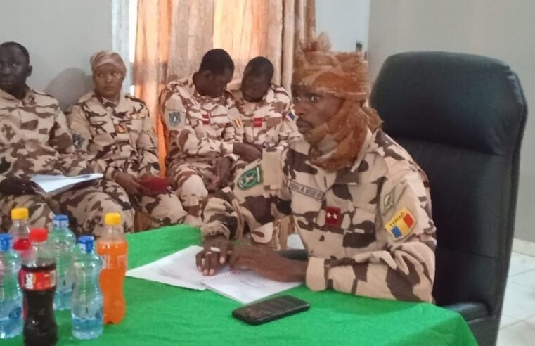 Renforcement des forces mixtes Tchad-rca à la frontière centrafricaine