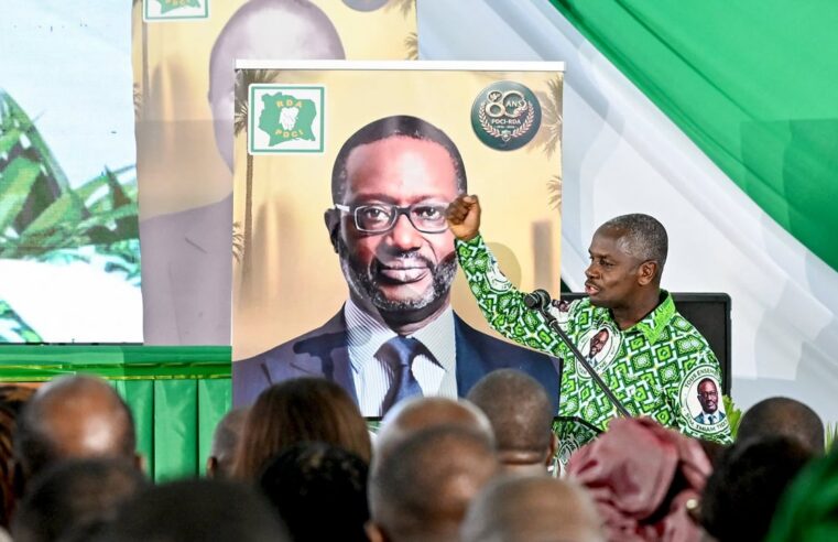 Côte d&rsquo;Ivoire : les tensions entre le rhdp et le pdci qui divisent le paysage politique