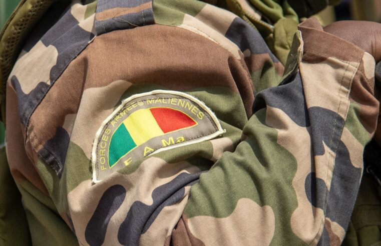 Massacres dans le centre du Mali : armée et milices pointées du doigt