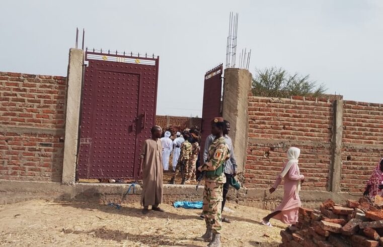 Réseau de boucherie illégal démantelé à N&rsquo;Djamena, des centaines d&rsquo;animaux malades saisis