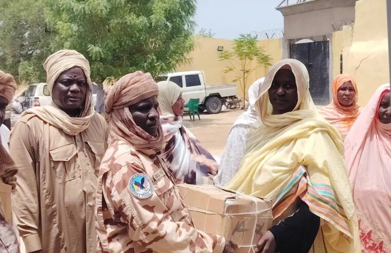 Solidarité féminine face aux attaques de Boko Haram au lac tchadien