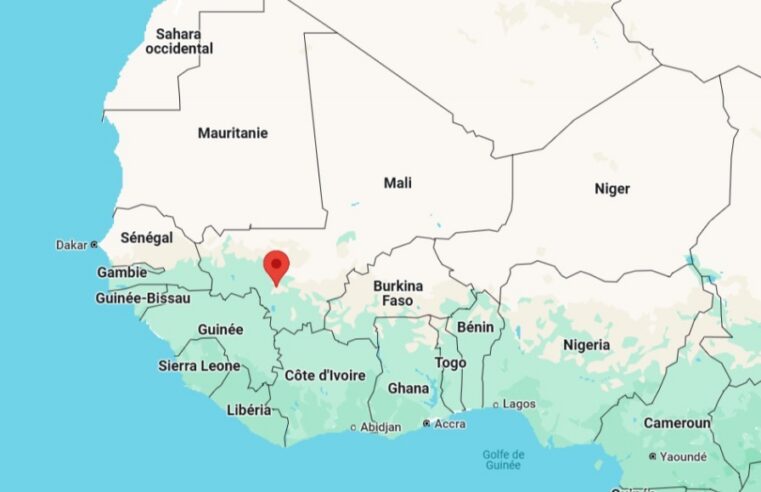 Manifestation au Mali : des centaines de personnes défendent la démocratie à Bamako