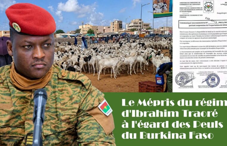 Burkina Faso : les Peuls sous pression entre violences et asphyxie économique