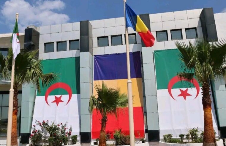 Tchad et Algérie : une coopération historique qui façonne l&rsquo;avenir