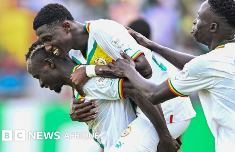 Les académies de football, clé de la réussite du Sénégal en 2026