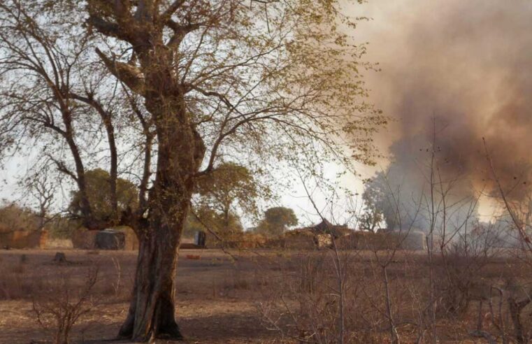 Lutte armée dans la forêt de Sambisa entre factions de Boko Haram et de l’État islamique