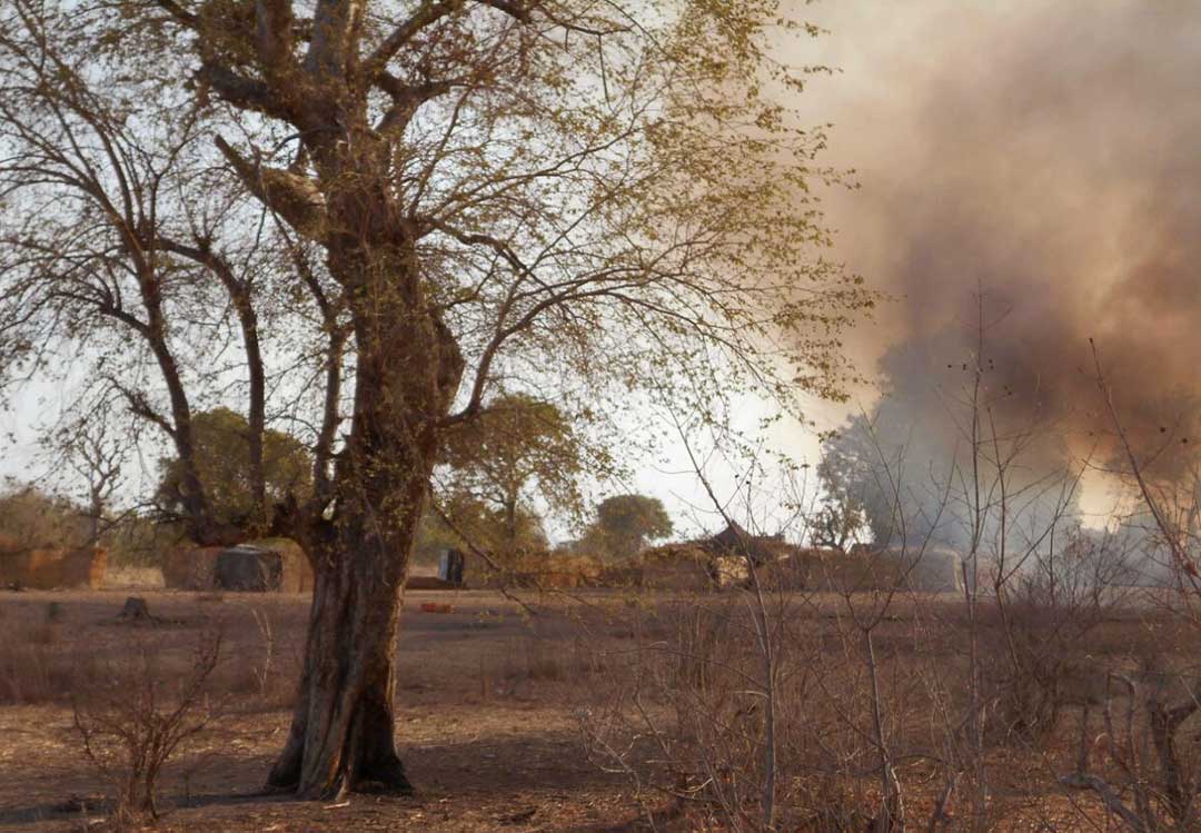 Lutte armée dans la forêt de Sambisa entre factions de Boko Haram et de l’État islamique