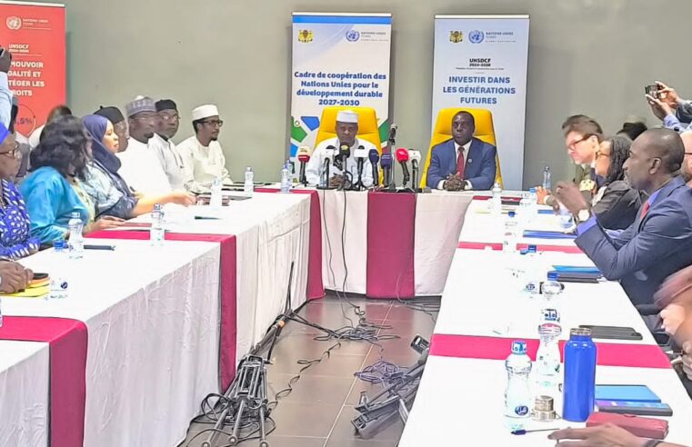 Tchad : le comité de pilotage de l&rsquo;ONU clôt son cycle 2024 et prépare l&rsquo;avenir