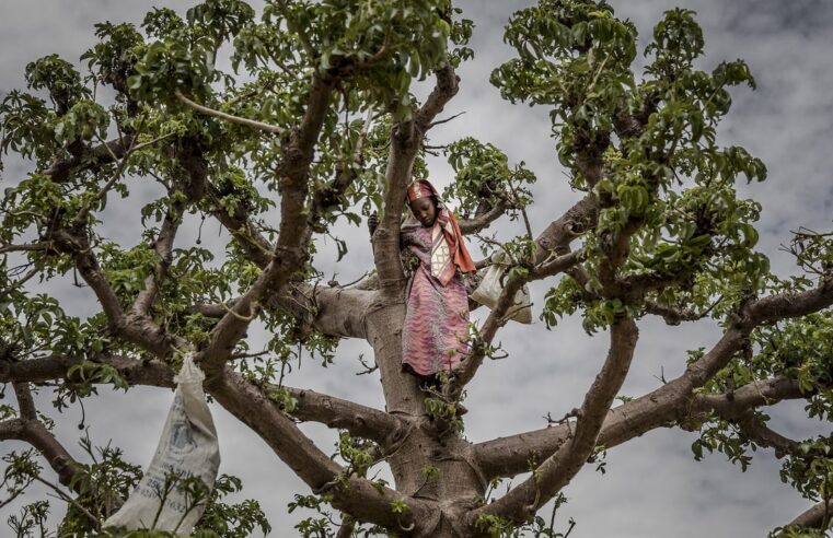 Crise économique au Niger : quand la faim s&rsquo;installe durablement