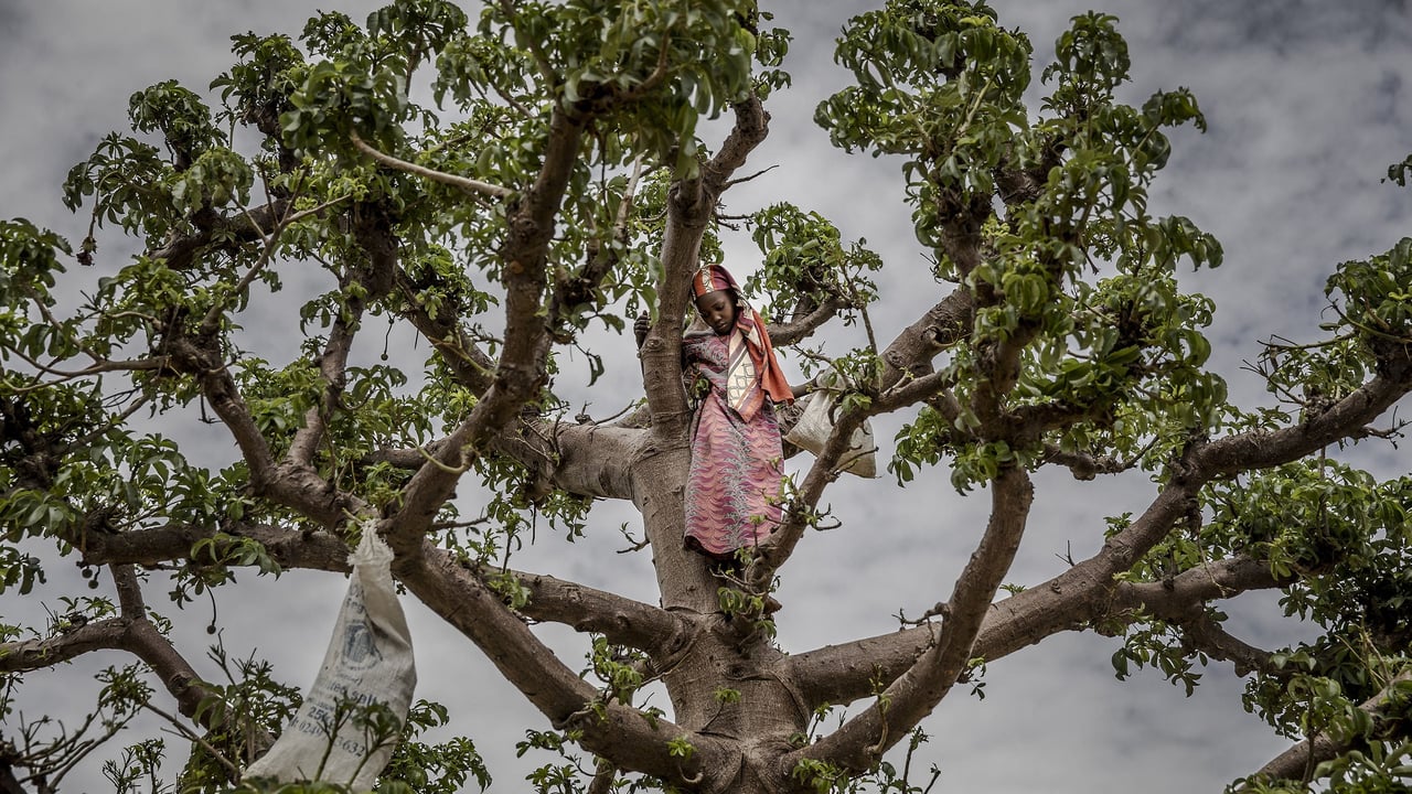 Crise économique au Niger : quand la faim s&rsquo;installe durablement