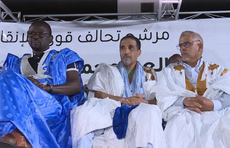 Mohamed Maouloud : les défis majeurs du nouveau président de l’opposition mauritanienne