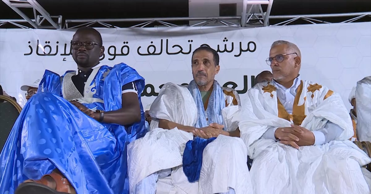 Mohamed Maouloud : les défis majeurs du nouveau président de l’opposition mauritanienne