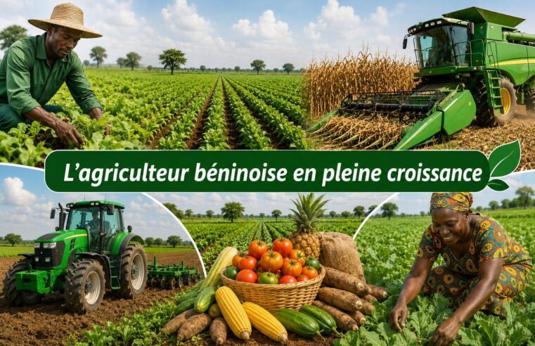 Bénin : la révolution agricole qui booste l&rsquo;économie depuis 2016