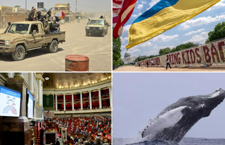 Alliance Jnim et FLA au Mali : analyse et perspectives d’avenir