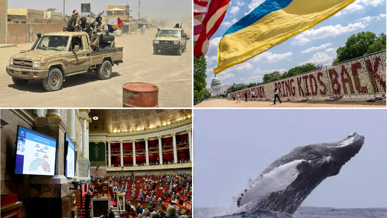Alliance Jnim et FLA au Mali : analyse et perspectives d’avenir