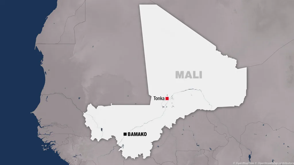 Assassinat ciblé d'un maître coranique par des jihadistes à Tonka au Mali