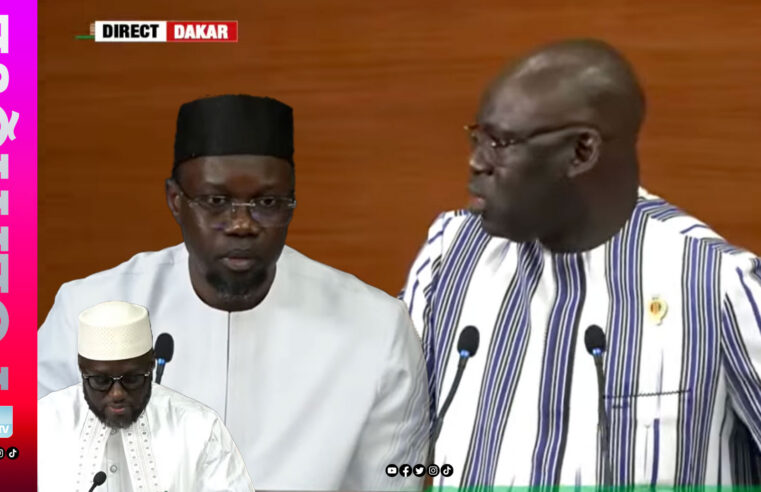 Assemblée nationale : Mbaye Dione somme Ousmane Sonko de distinguer opposition et hostilité