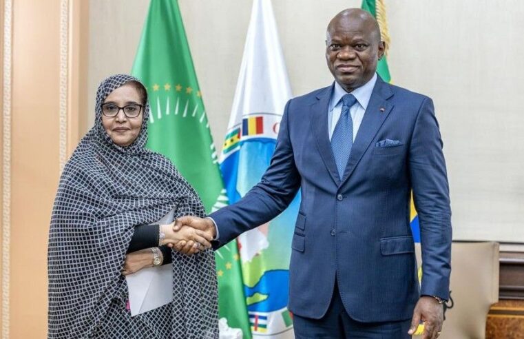 Francophonie : le Gabon et la Mauritanie redessinent les équilibres africains