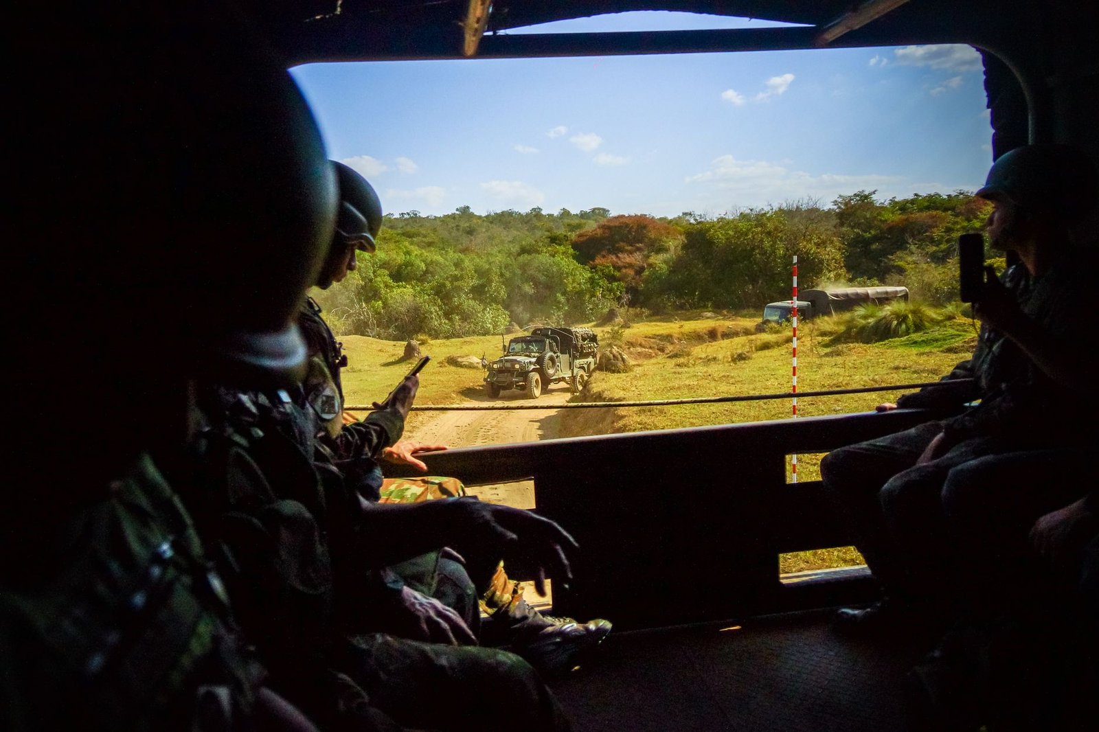 Mali : 40 forêts sous contrôle militaire pour traquer les jihadistes