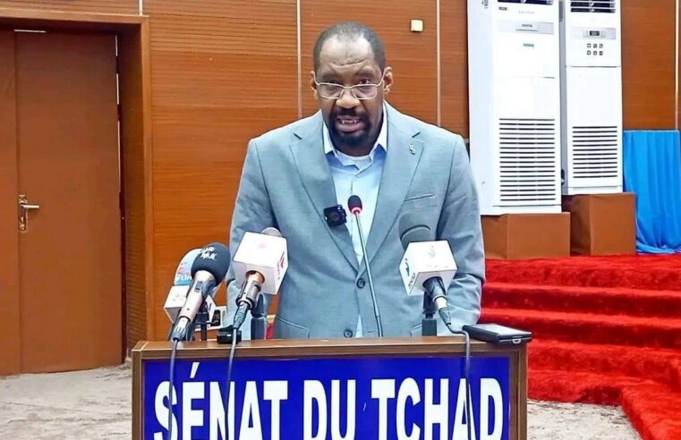 Tchad : appel urgent du ministre de la sécurité publique contre les violences intercommunautaires