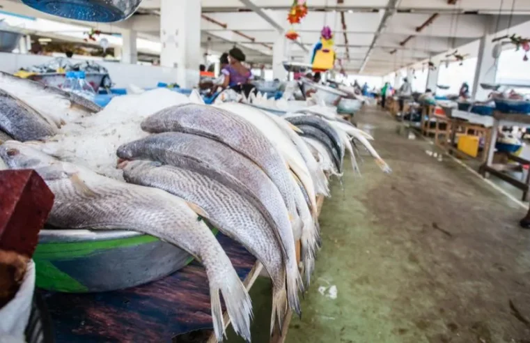 Le Gabon met fin à l&rsquo;accord de pêche avec l&rsquo;Union Européenne