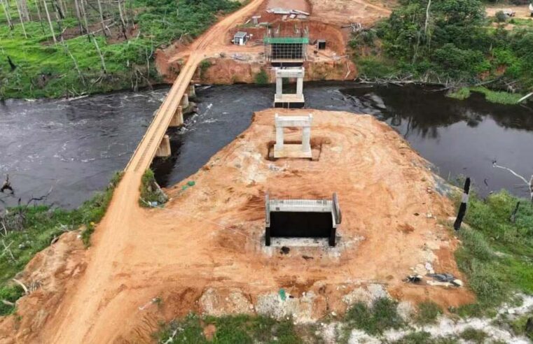 Pont sur le Dja : le chantier de désenclavement du Sud camerounais progresse