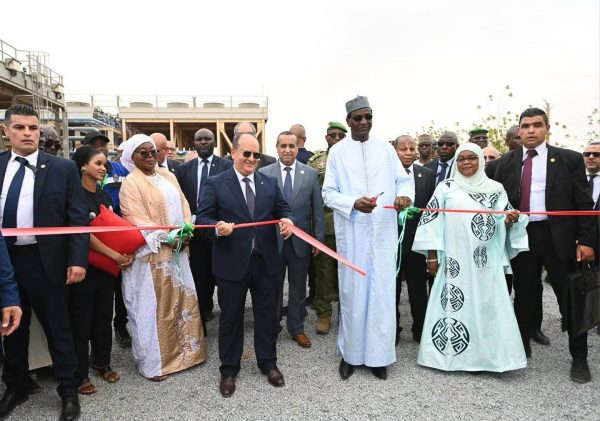 Alger et Niamey renforcent leur partenariat avec une centrale électrique de 40 mw