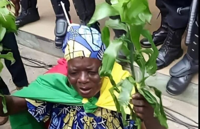 Décès de « Maman Kamto » : figure du MRC emportée par un AVC