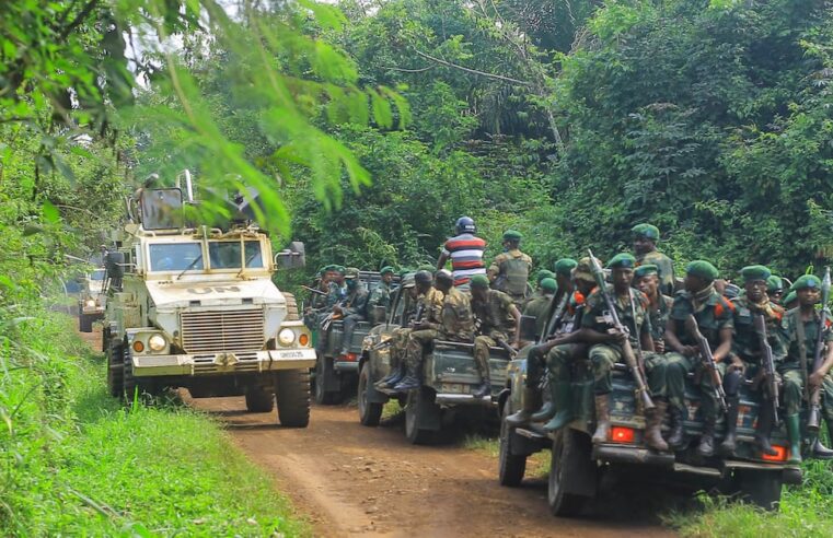 Violence extrême dans l&rsquo;est de la RDC : bilan des adf en 2026