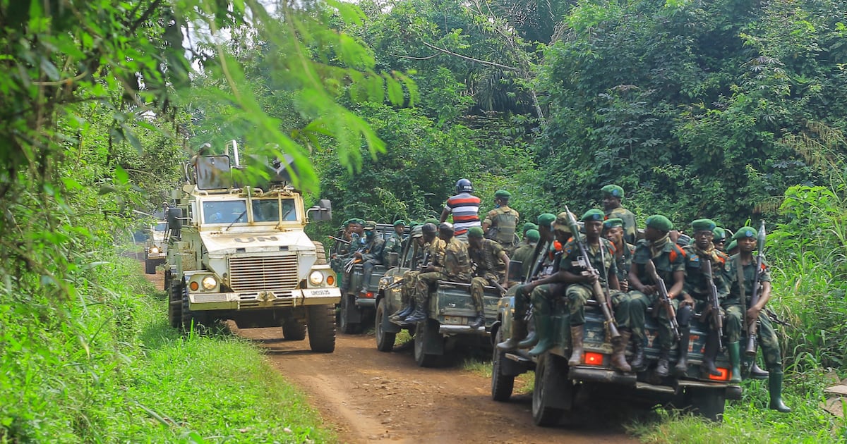 Violence extrême dans l&rsquo;est de la RDC : bilan des adf en 2026