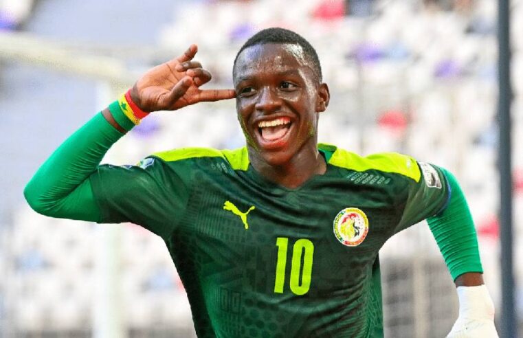 Amara Diouf de retour à l&rsquo;entraînement, son avenir à Fenerbahçe se dessine