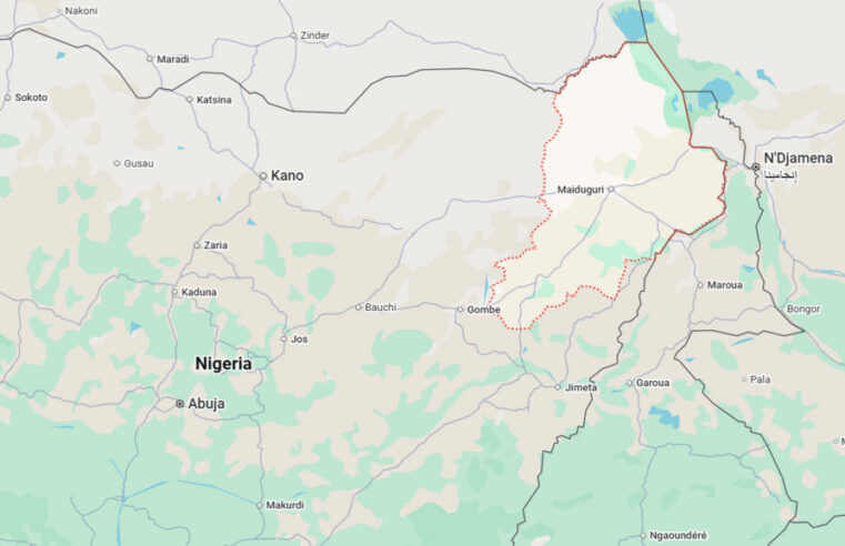 Nigeria : libération massive de femmes et d&rsquo;enfants otages de Boko Haram