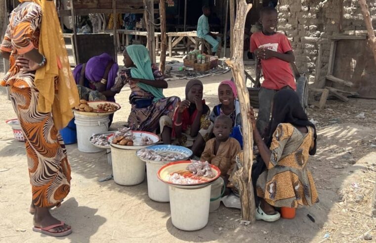 Libération massive d&rsquo;otages de Boko Haram au Nigeria