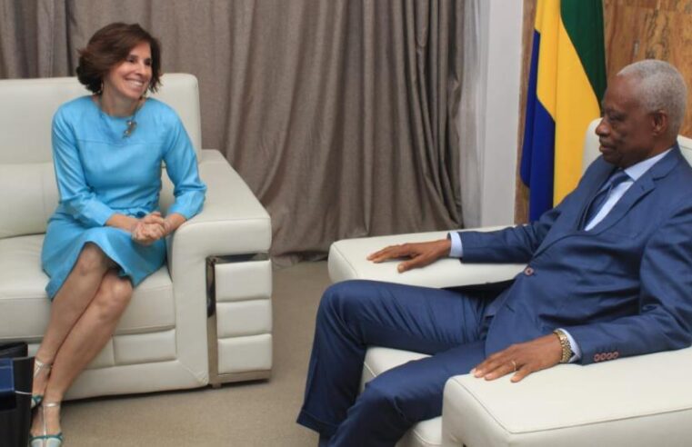 Gabon : l&rsquo;union européenne et Libreville intensifient leur coopération