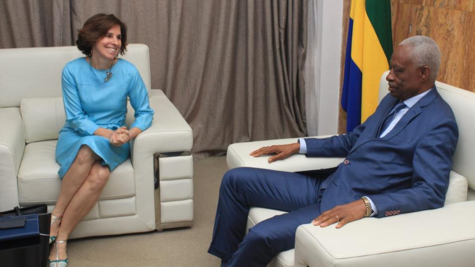 Gabon : l&rsquo;union européenne et Libreville intensifient leur coopération
