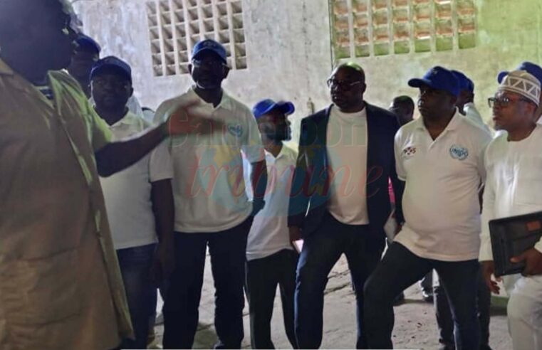 Renforcement de la qualité du cacao camerounais : 35 vérificateurs formés à Douala