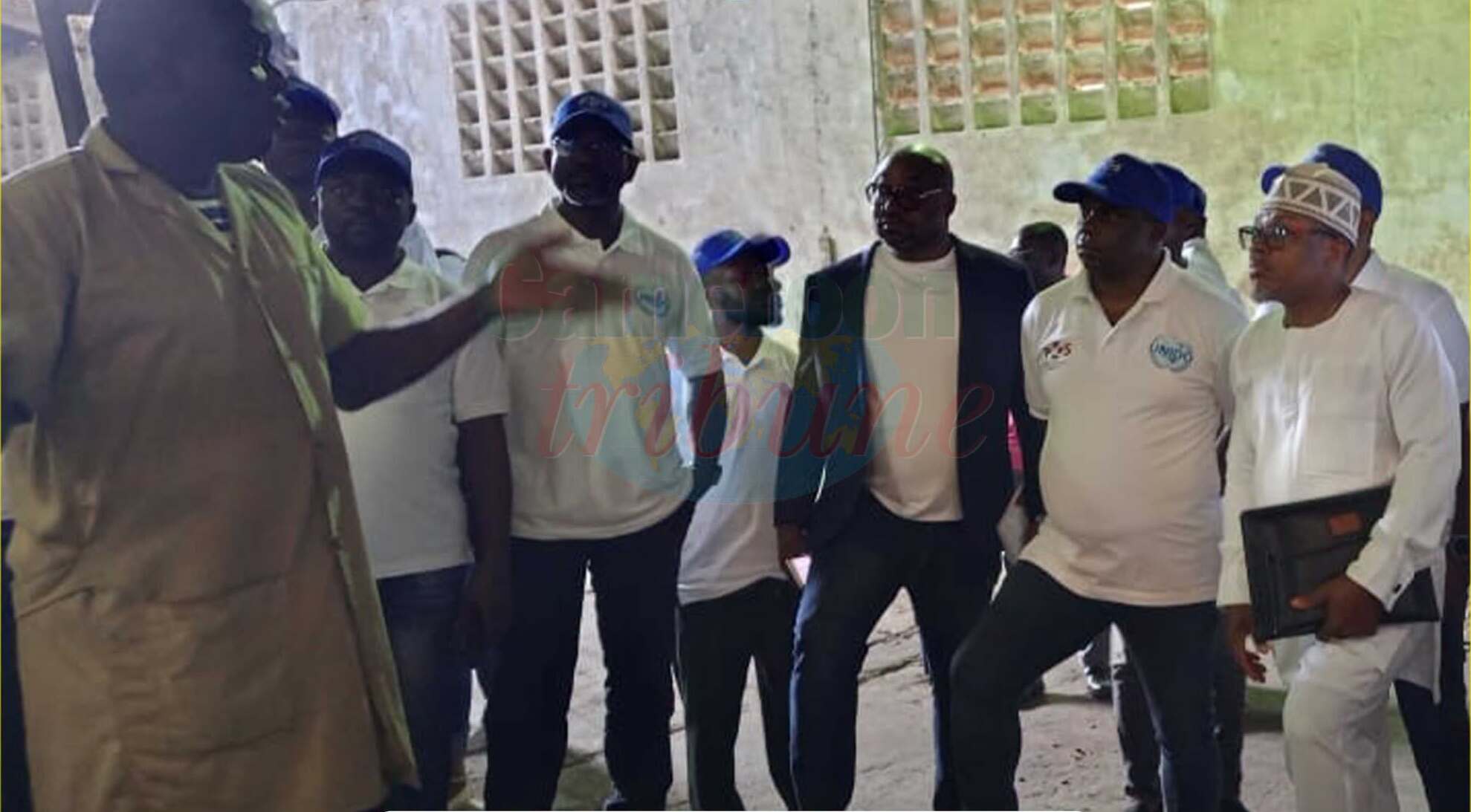 Renforcement de la qualité du cacao camerounais : 35 vérificateurs formés à Douala