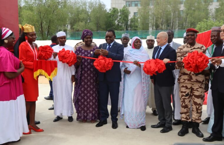 Parc de l&rsquo;amitié Tchad-Chine : une réalisation phare pour l&rsquo;écologie et la coopération internationale